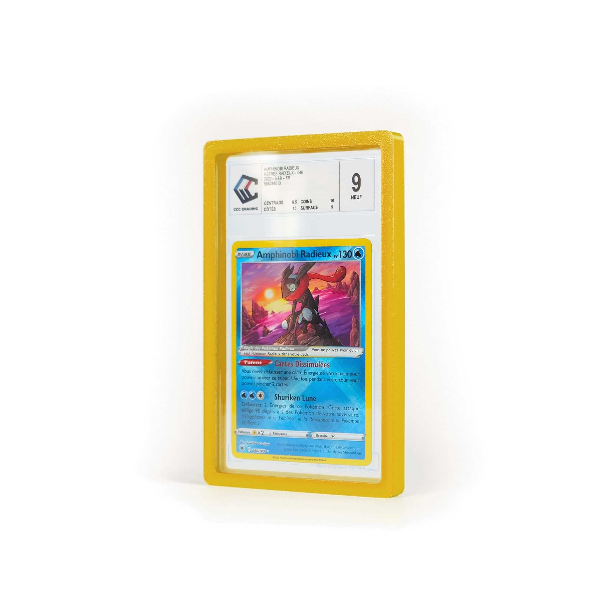 anzena-ccc-collection-card-bumper-gold-normal